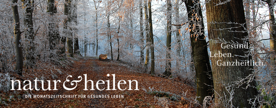 naturundheilen-landingpage-zweigratishefte-header_01-winter