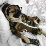 Bildquelle: Instagram von ONEPIECE