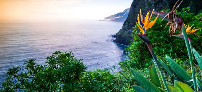 Blumeninsel Gutschein