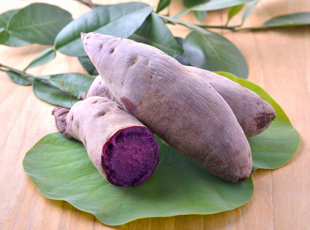 Ube Yams Wurzel