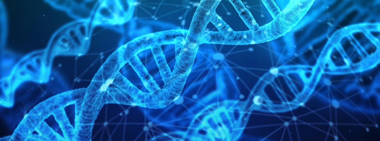 Protein und seine Bedeutung für unseren Körper 6 | Rabatt-Coupon.com | Überall sparen mit Gutscheinen