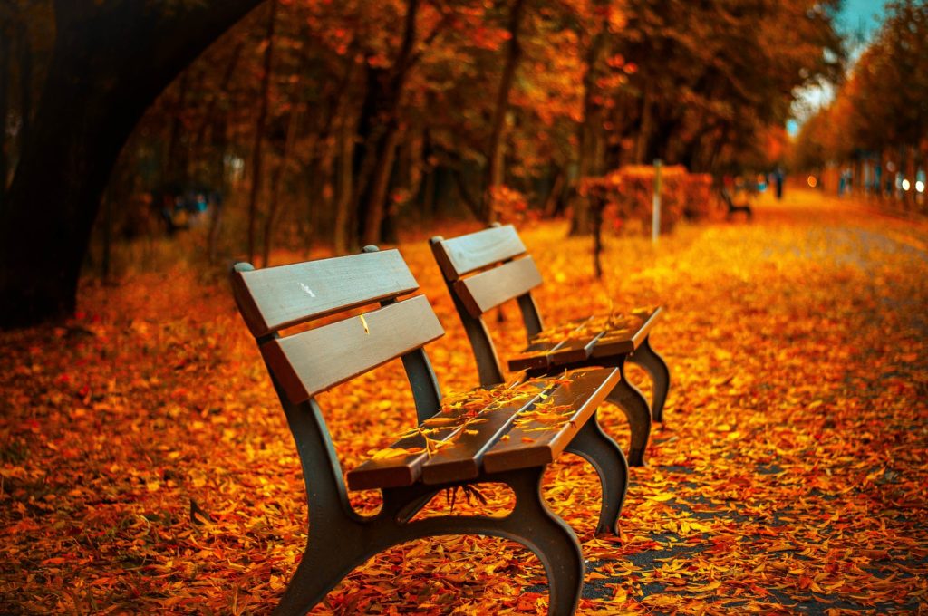 bench 560435 1920 | Rabatt-Coupon.com | Überall sparen mit Gutscheinen