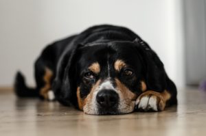 d568362b | Rabatt-Coupon.com | Überall sparen mit Gutscheinen