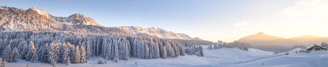 Schneelandschaft
