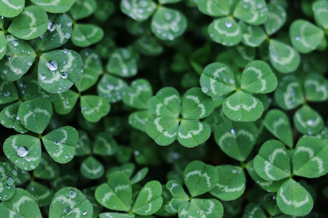St. Patrick's Day