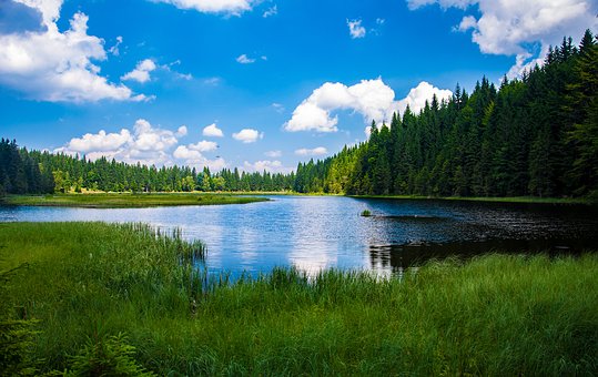 bavarian forest 1855992 340 | Rabatt-Coupon.com | Überall sparen mit Gutscheinen