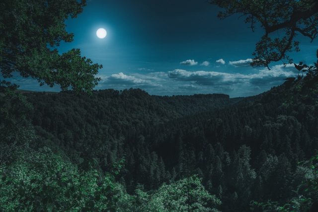 nature 3194001 960 720 e1551363169681 | Rabatt-Coupon.com | Überall sparen mit Gutscheinen