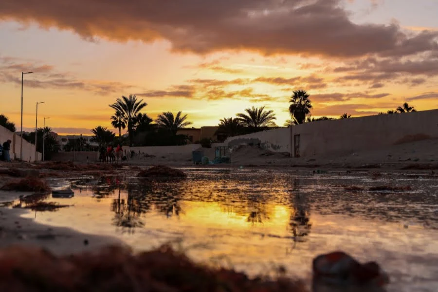 Tunesien entdecken: Aktuelle Trends, Sehenswürdigkeiten und kulinarische Highlights 18 Ihr seht eine ruhige Straße mit Palmen und spiegelndem Wasser bei Sonnenuntergang in Tunesien.