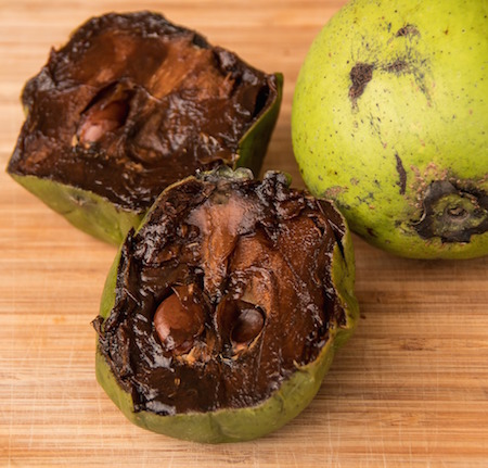 fruit 3143337 1920 | Rabatt-Coupon.com | Überall sparen mit Gutscheinen