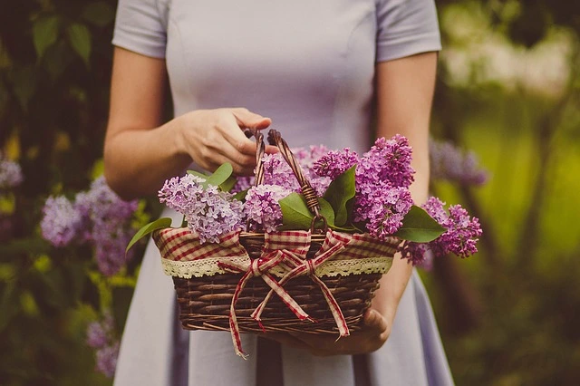 Flieder im Korb Blumen artikel | Rabatt-Coupon.com | Überall sparen mit Gutscheinen