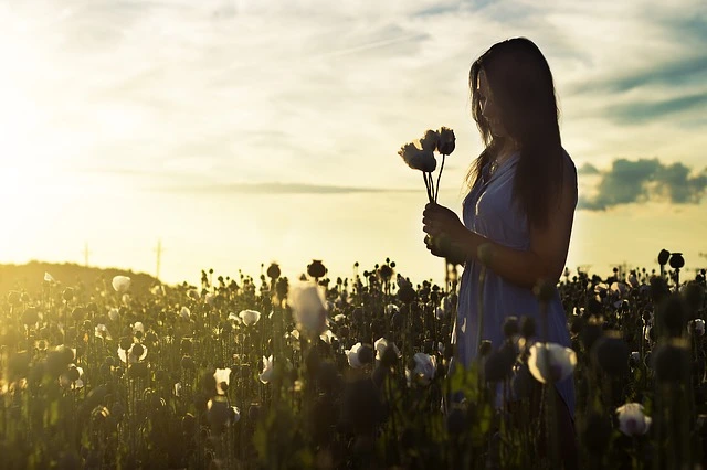 Eine Frau in einem leichten Kleid steht bei Sonnenuntergang in einem Blumenfeld und hält nachdenklich einige Blüten in der Hand.