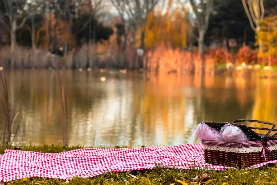 Picknickdecke mit Korb am Seeufer in herbstlicher Landschaft mit warmen Farben