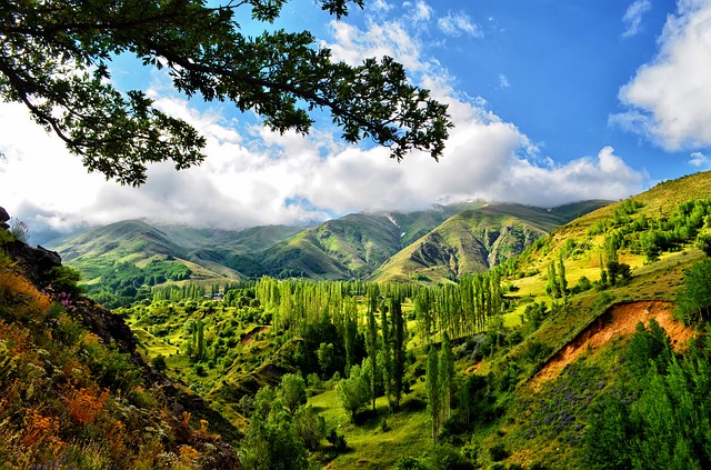 Sattgrüne Wälder in Russland | Rabatte Coupons