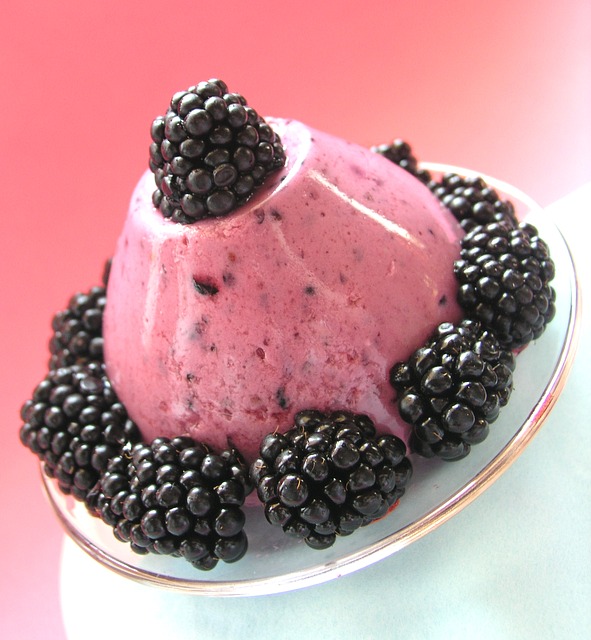 Frischer Pudding mit Brombeeren | Rabatt Coupon