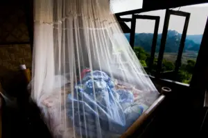 Person schläft unter einem weißen Moskitonetz auf einem Bett in tropischer Umgebung mit offenem Fenster und Ausblick auf eine Berglandschaft – effektiver Schutz vor Mücken in der Nacht.