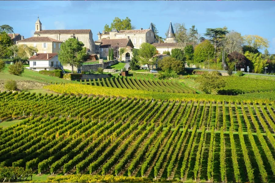 Frankreich erleben: Tolle Ziele außerhalb von Paris 1 Weinberge vor einem historischen Dorf in der französischen Weinregion Bordeaux.