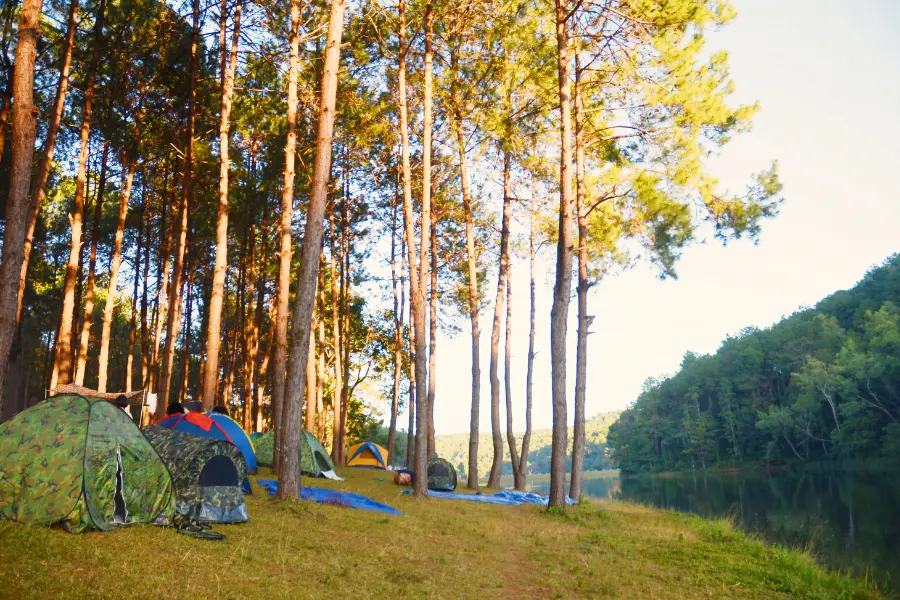 Mehrere Zelte in einem Wald am Ufer eines Sees bei Sonnenuntergang – typisches Camping-Setting mit hoher Relevanz für Mückenschutz im Freien.