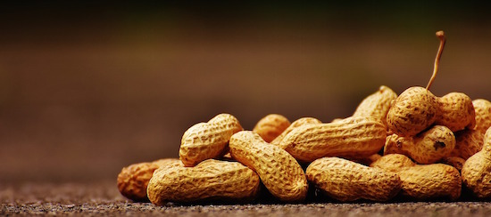 Erdnüsse sind gesund | rabatt coupons