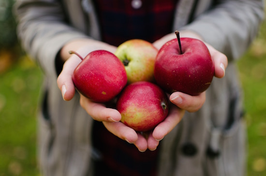 Apfel ist das Lieblingsobst | rabattecoupons