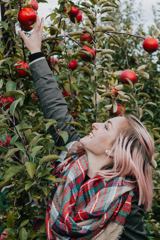 Apfel wirkt heilend | rabatte coupon