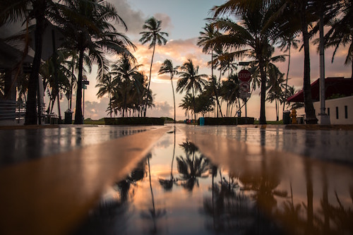 Ein Sonnenuntergang nebst Palmen | Rabattcoupon