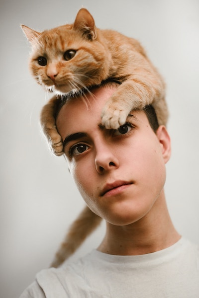 Katzen erziehen | Katze | www.rabatt-coupon.com