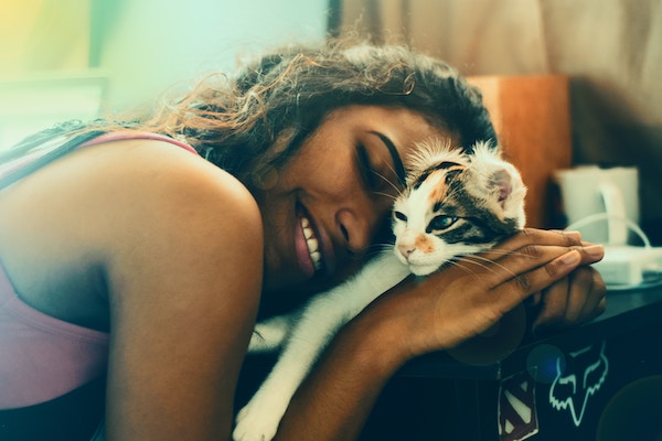Katzen erziehen | Katze | www.rabatt-coupon.com