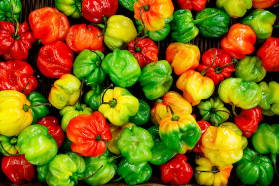 Paprika | rabattecoupons