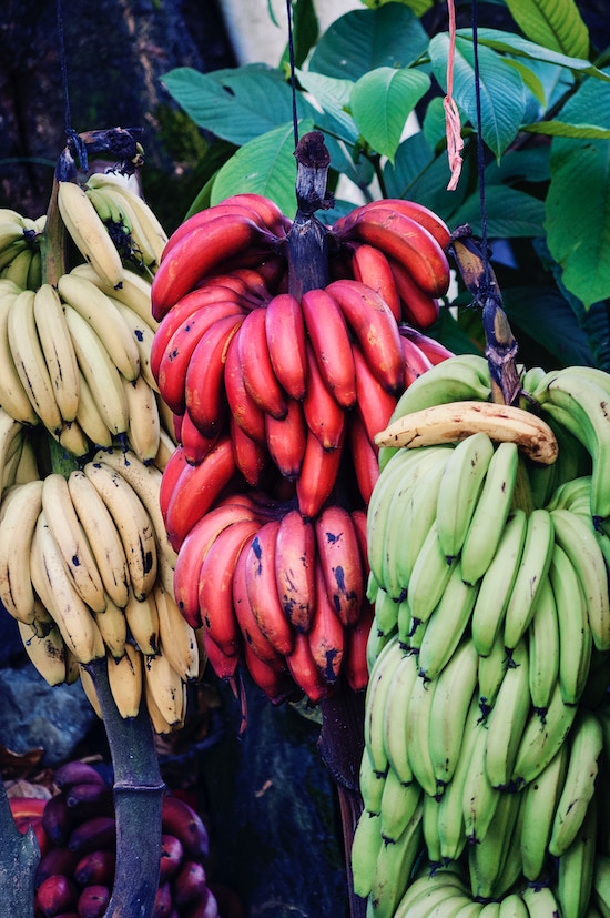 Banane | rabattecoupons