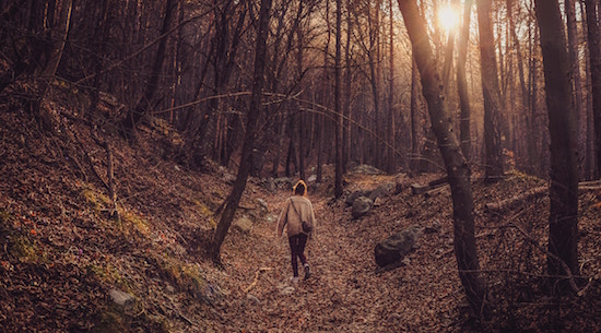 Die Stille im Wald | rabatte coupons