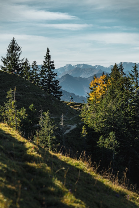Frei sein wie der Wind | rabatte coupons