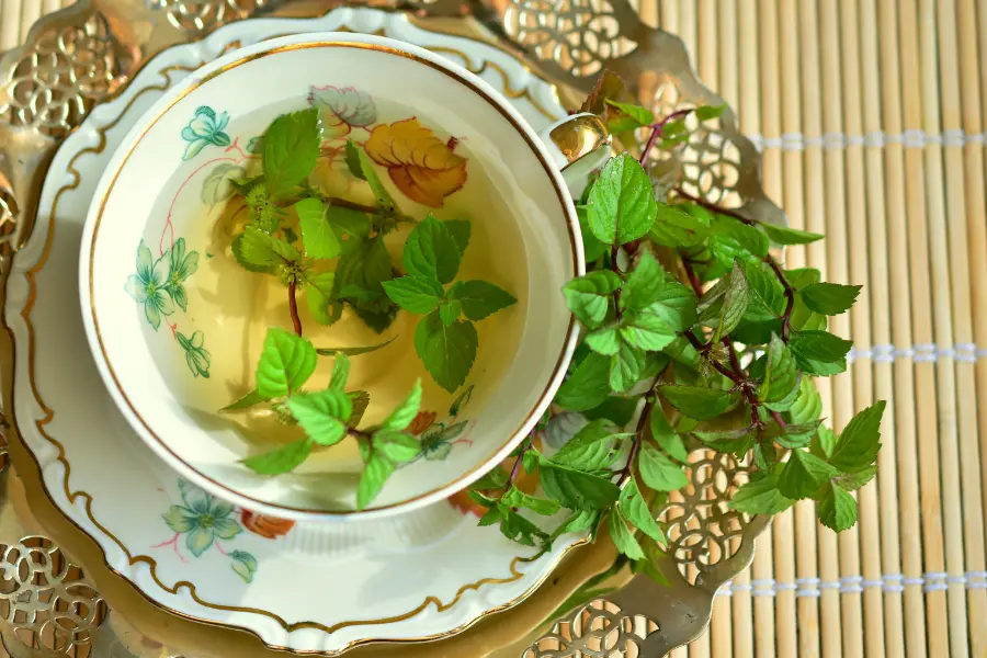 Teesorten und ihre Wirkung helfen bei verschiedenen Symptomen | www.rabatt-coupon.com Tasse mit frisch aufgebrühtem Pfefferminztee und grünen Minzblättern auf einem dekorativen Tablett.