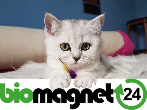 biomagnet24 | Rabattcoupon