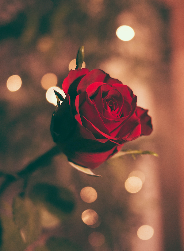 Valentinstag Ideen | https://www.rabatt-coupon.com/
