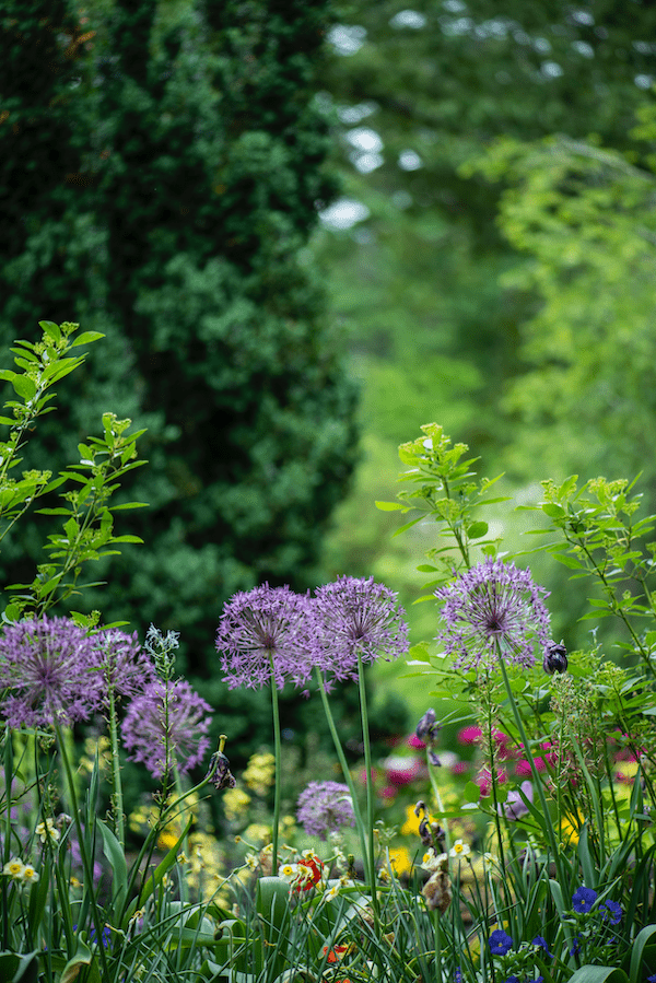 Gartenkalender 2022 | Rabatt-Coupon