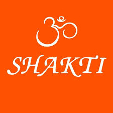  zum Shaktimat                 Onlineshop