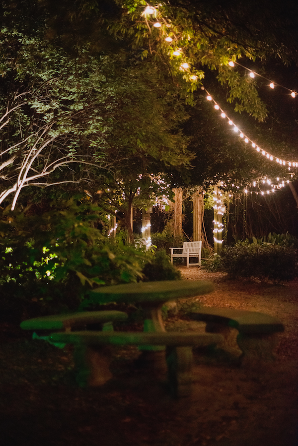 Pflanzen, Blumen oder Streucher, bei Baldur-Garten findet ihr auch das Passende für eure Gartendeko 2021. Gartendeko 2021 | rabatt-coupon.com