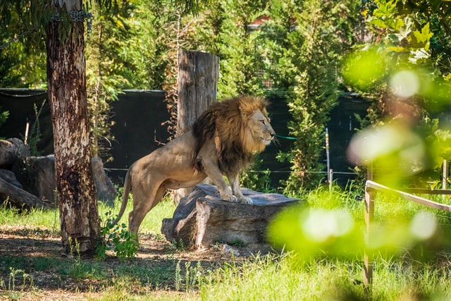 Zoo online besuchen | www.rabatt-coupon.com