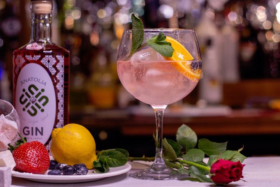 Cocktails selber machen | Cocktails mit Gin | www.rabatt-coupon.com