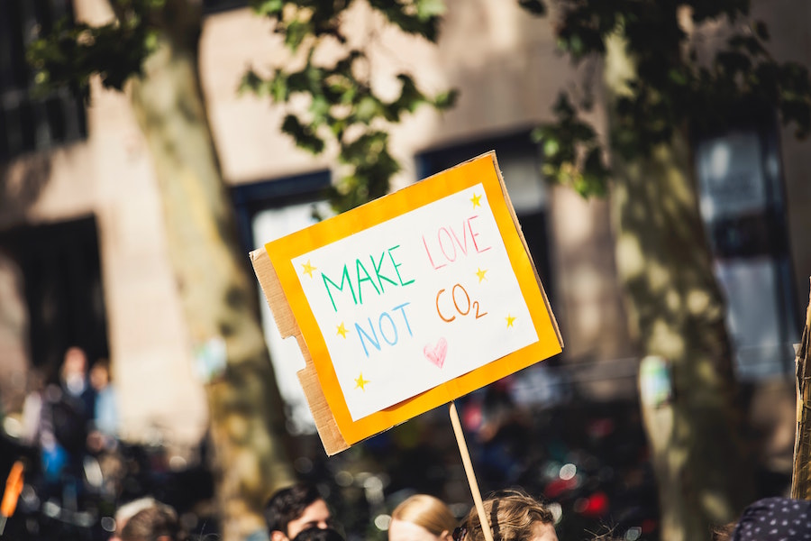 Spart die tollsten Rabatte mit dem Bodylab24 Gutschein! Damit könnt ihr viele Superfood Getränke machen. Superfood im Garten | Superfood Getränke | www.rabatt-coupon.com