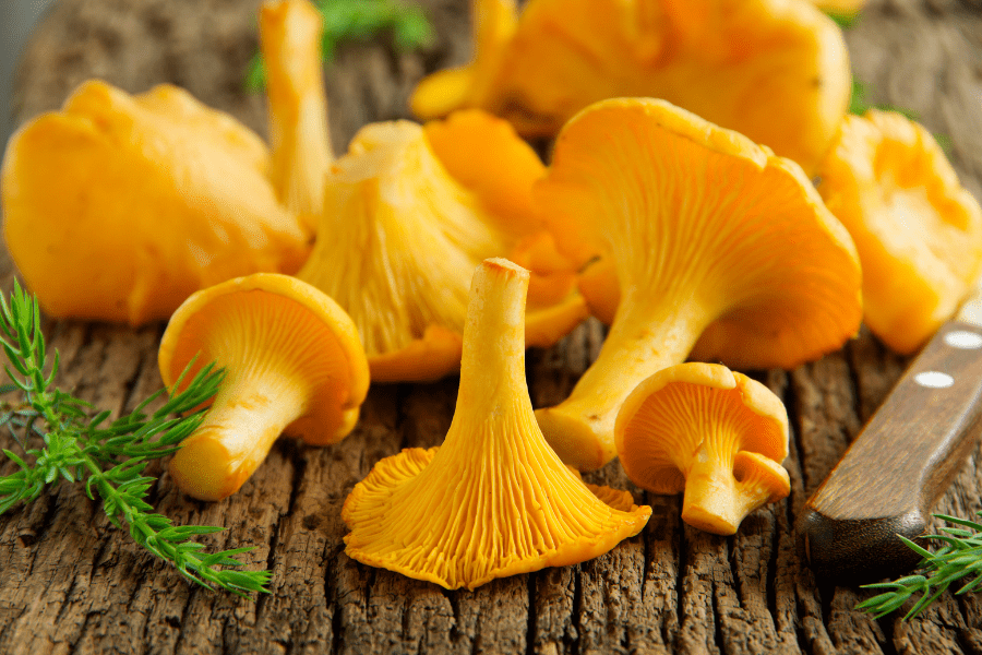 Pilze essbar | Pilze und Gesundheit | www.rabatt-coupon.com
