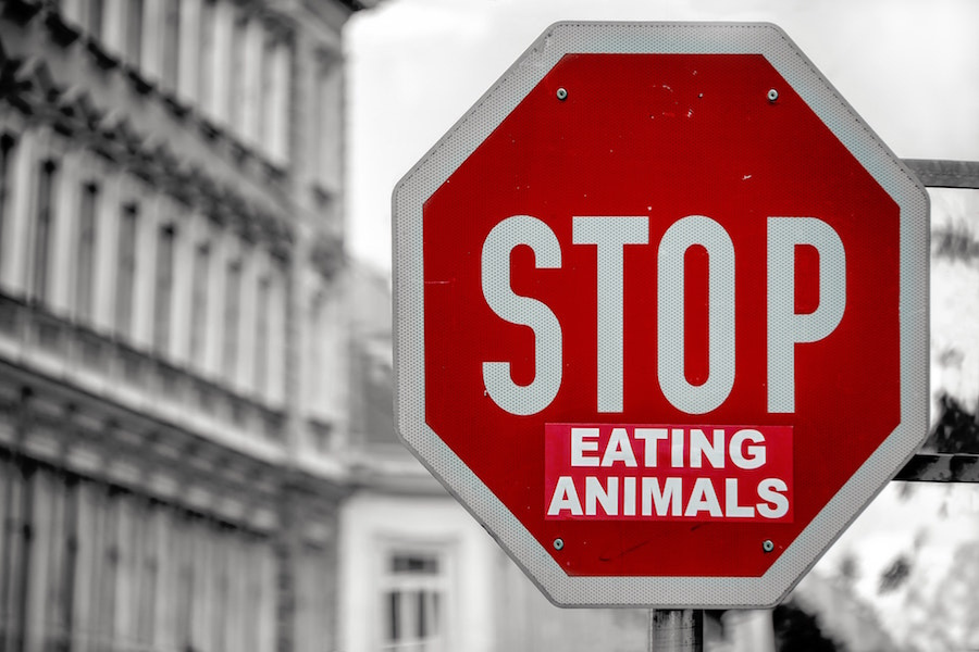 Stop Schild mit der Aufschrift: STOP EATING ANIMALS