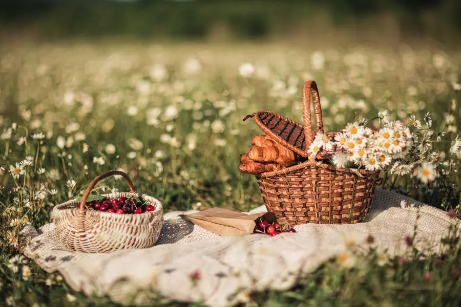 Mit dem Hop-Sport Gutschein sichert ihr euch abgesehen von den Rabatten auch noch viel Spaß bei eurer Motoparty ohne viel Aufwand. Picnic baskets with cherries, croissants, and daisies arranged on a blanket in a sunny meadow.