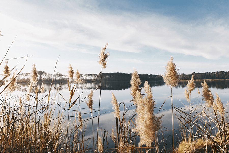 kinder schwimmunterricht rettungsschwimmkurs | www.rabatt-coupon.com