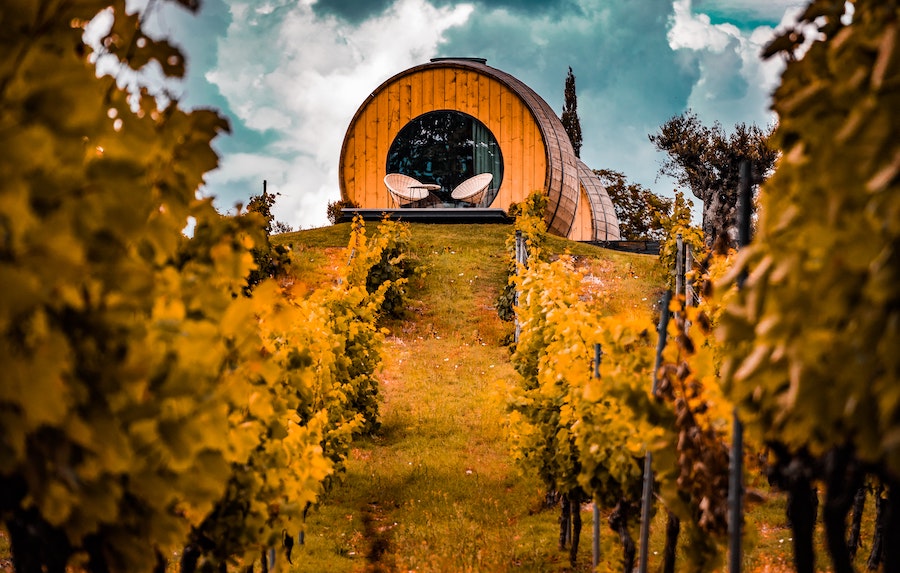 VINZERY | Rabattcoupon