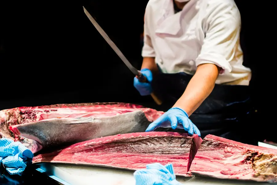 Gesunde Fischsorten lassen sich am besten mit dem Kernenergie Gutschein bestimmen. hef wearing gloves slicing a large fresh tuna with a long knife in a professional seafood preparation setting.