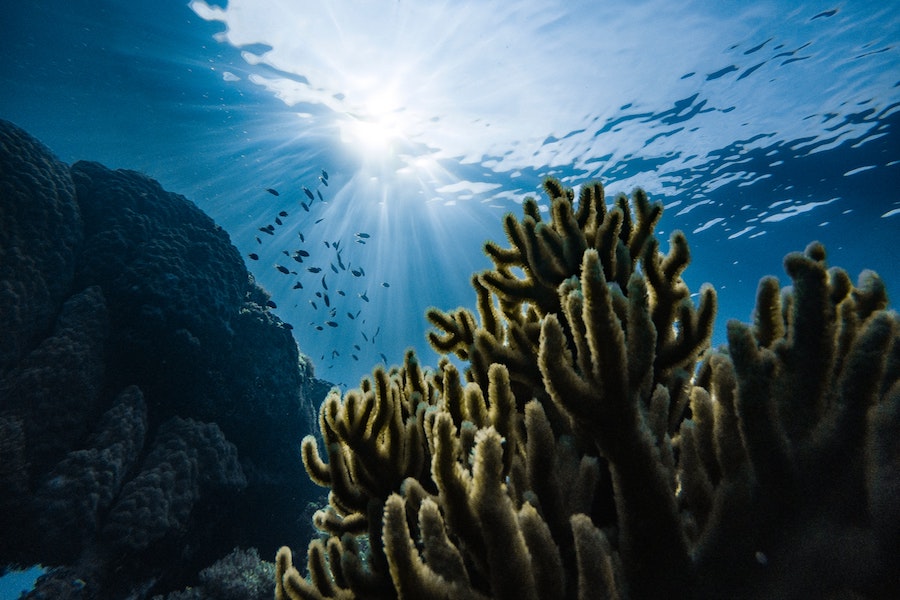 globale umweltprobleme | verschmutzung unserer umwelt | rabatt-coupon.com