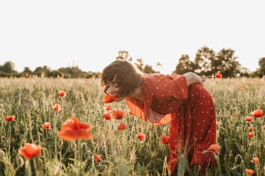 Frau im roten Kleid beugt sich in einem Mohnfeld und riecht an einer roten Blume bei Sonnenuntergang