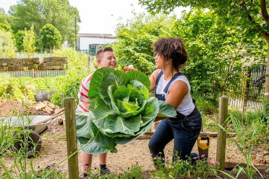 Farben, Duft und Vielfalt: So gestaltet ihr euren Garten frühlingsfit 2 Zwei Personen halten gemeinsam einen großen grünen Kohlkopf in einem Garten