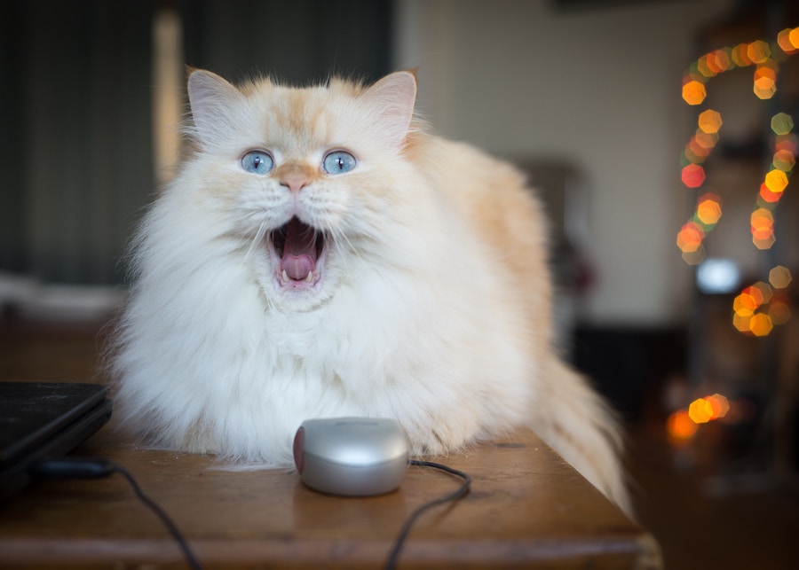 PC richtig aufräumen | Desktop überblick bearbeiten | www.ra